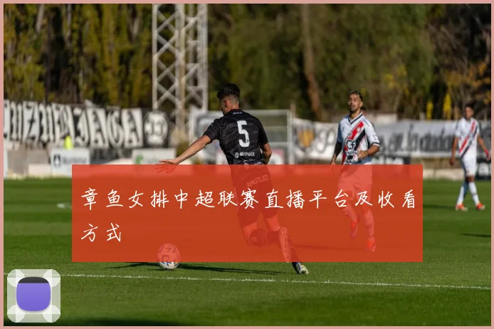 章鱼女排中超联赛直播平台及收看方式